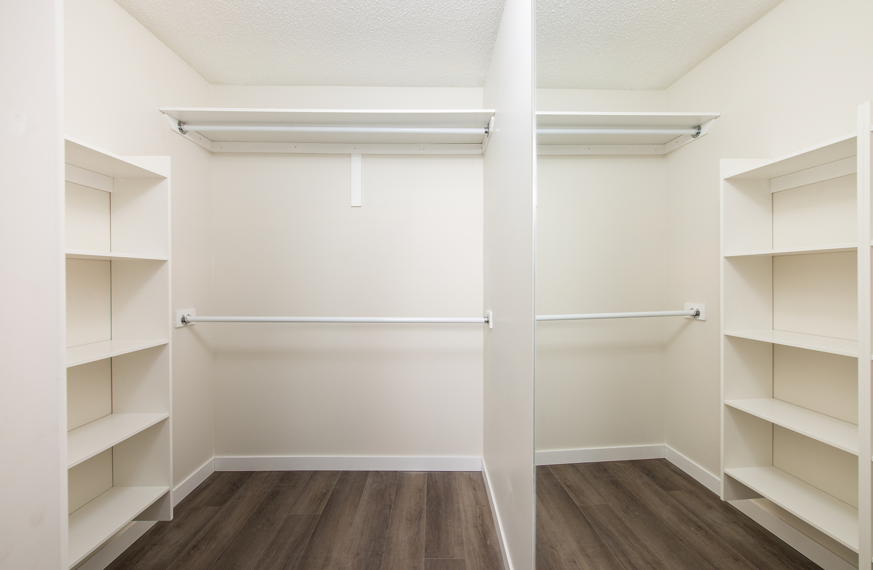 Gallery Photos