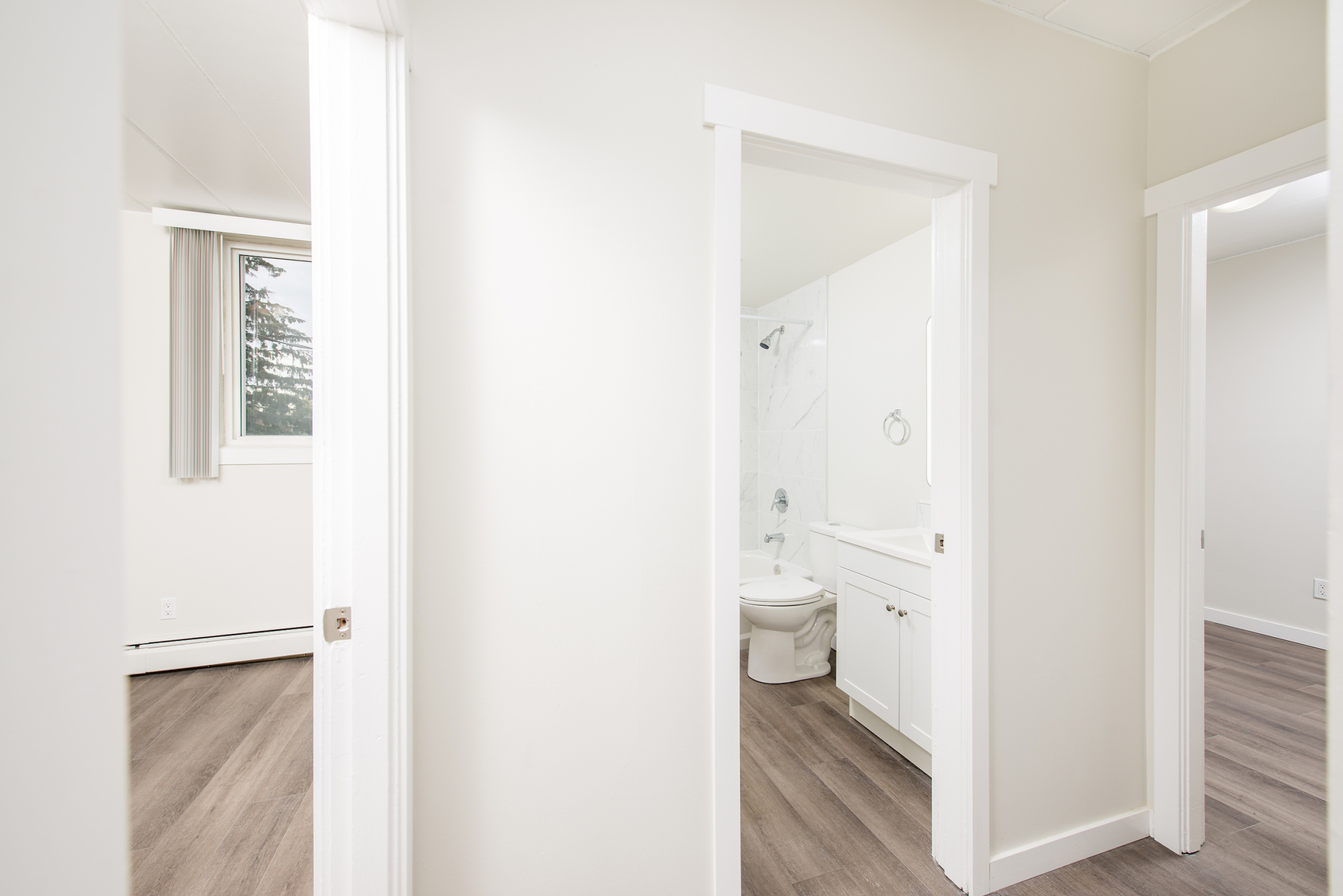 Gallery Photos