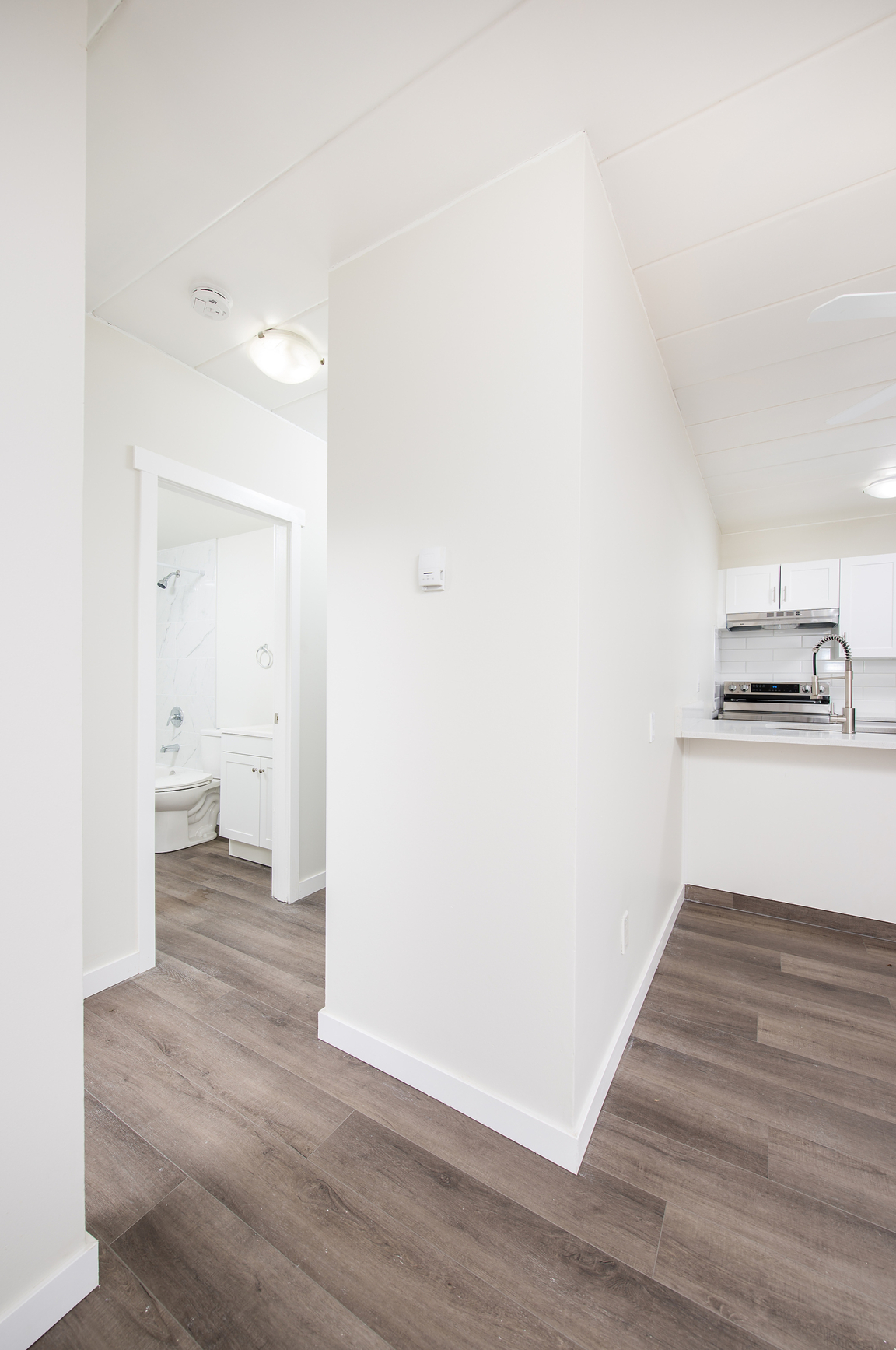 Gallery Photos