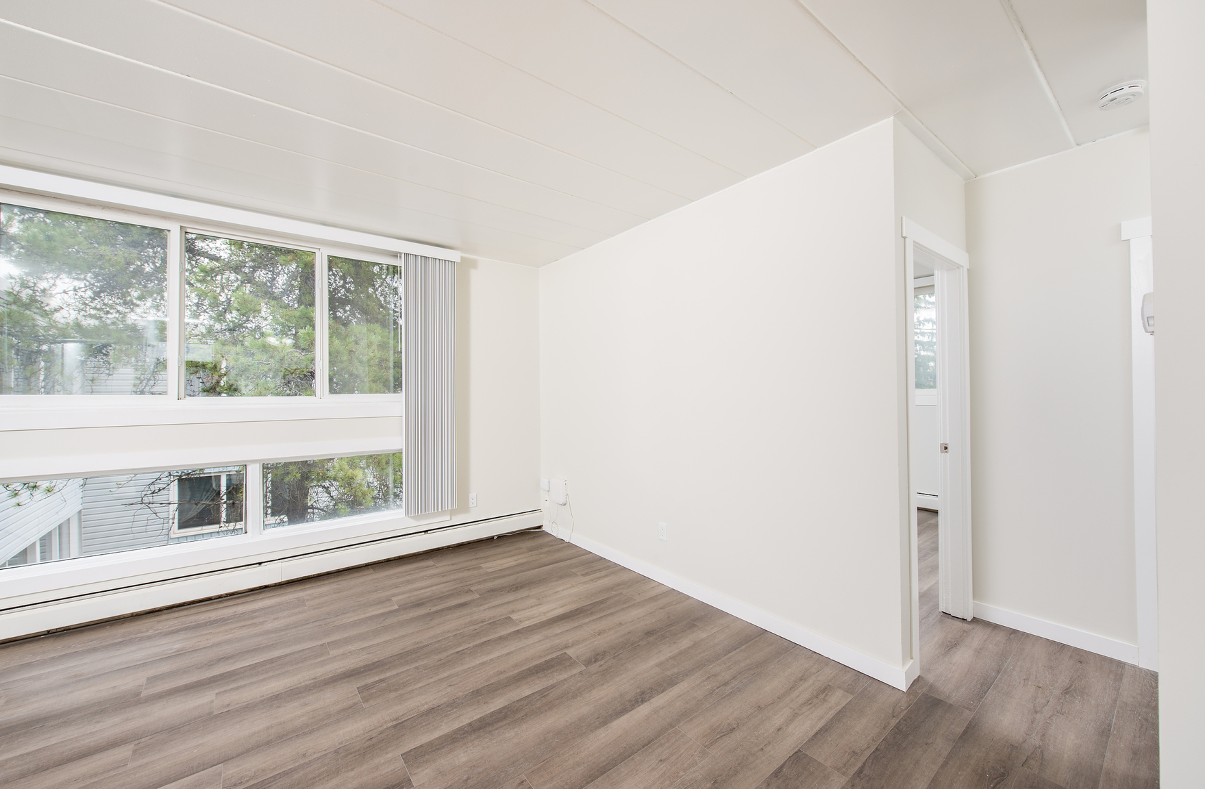 Gallery Photos