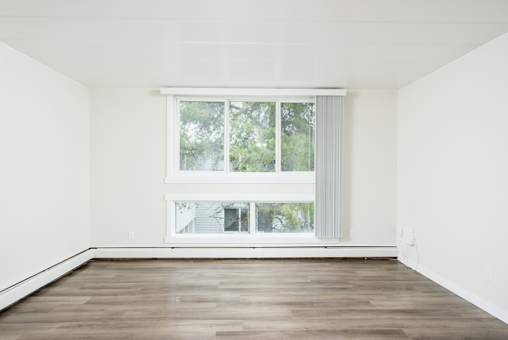 Gallery Photos