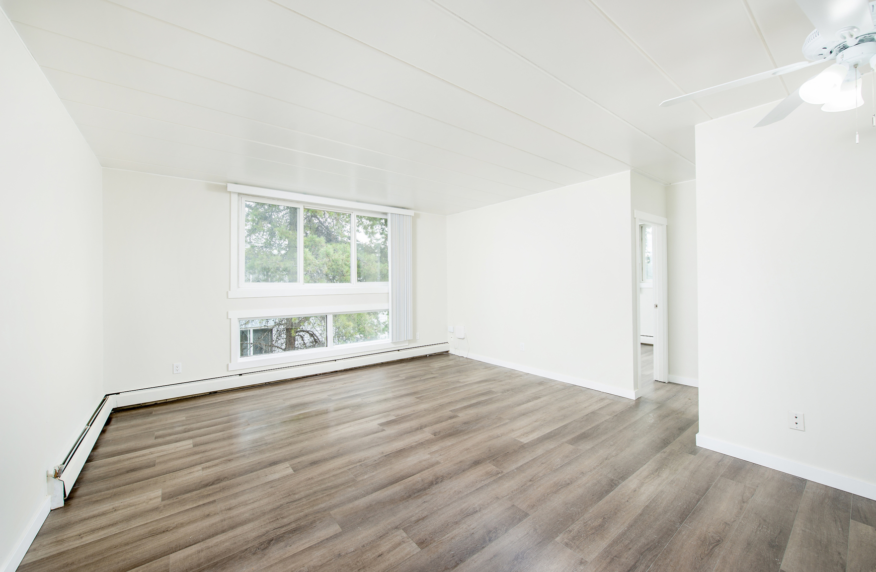 Gallery Photos