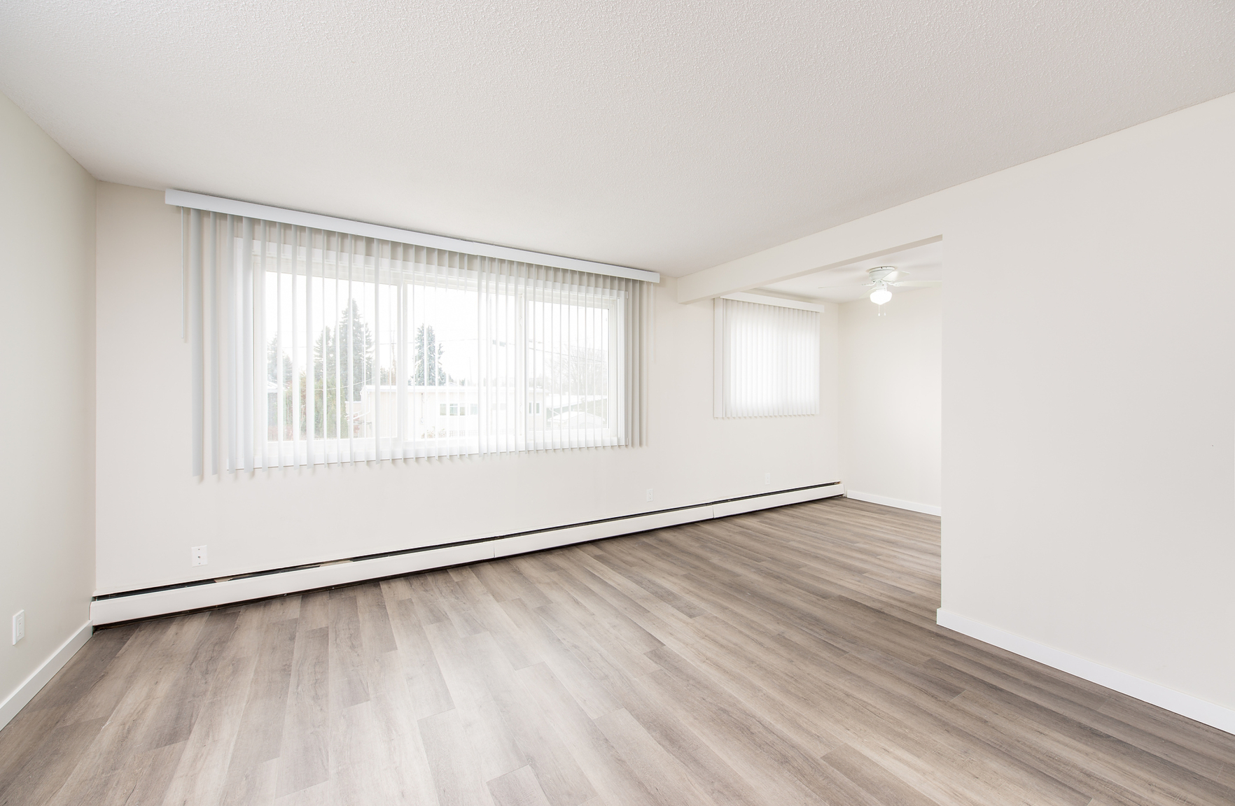 Gallery Photos