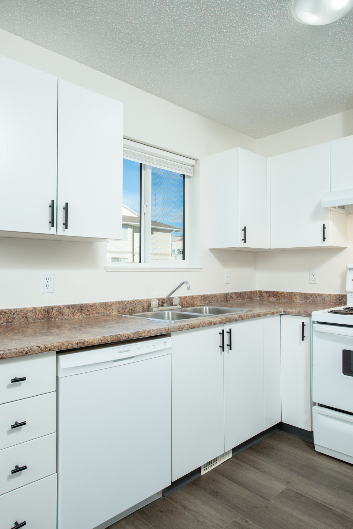 Gallery Photos