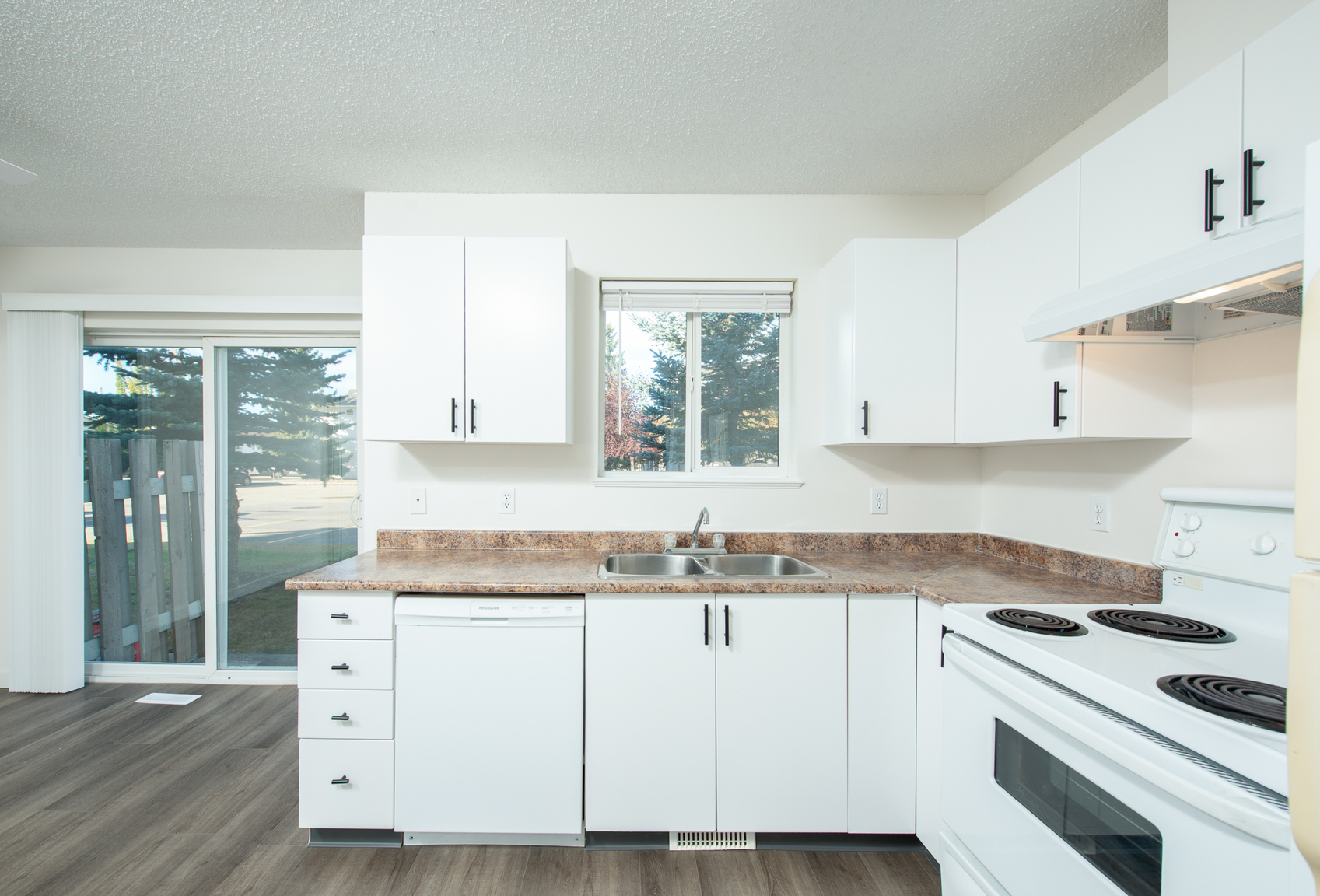 Gallery Photos
