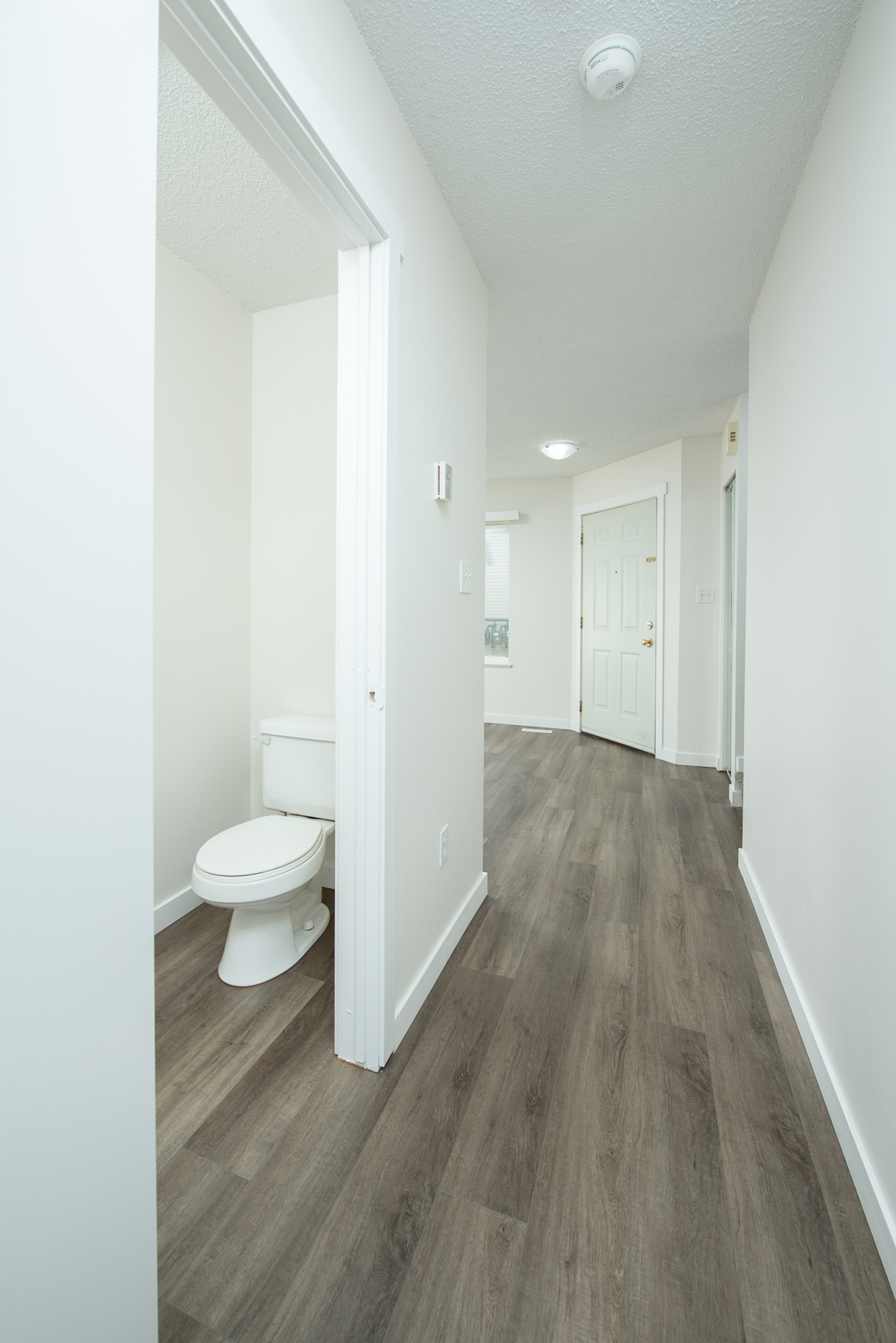 Gallery Photos