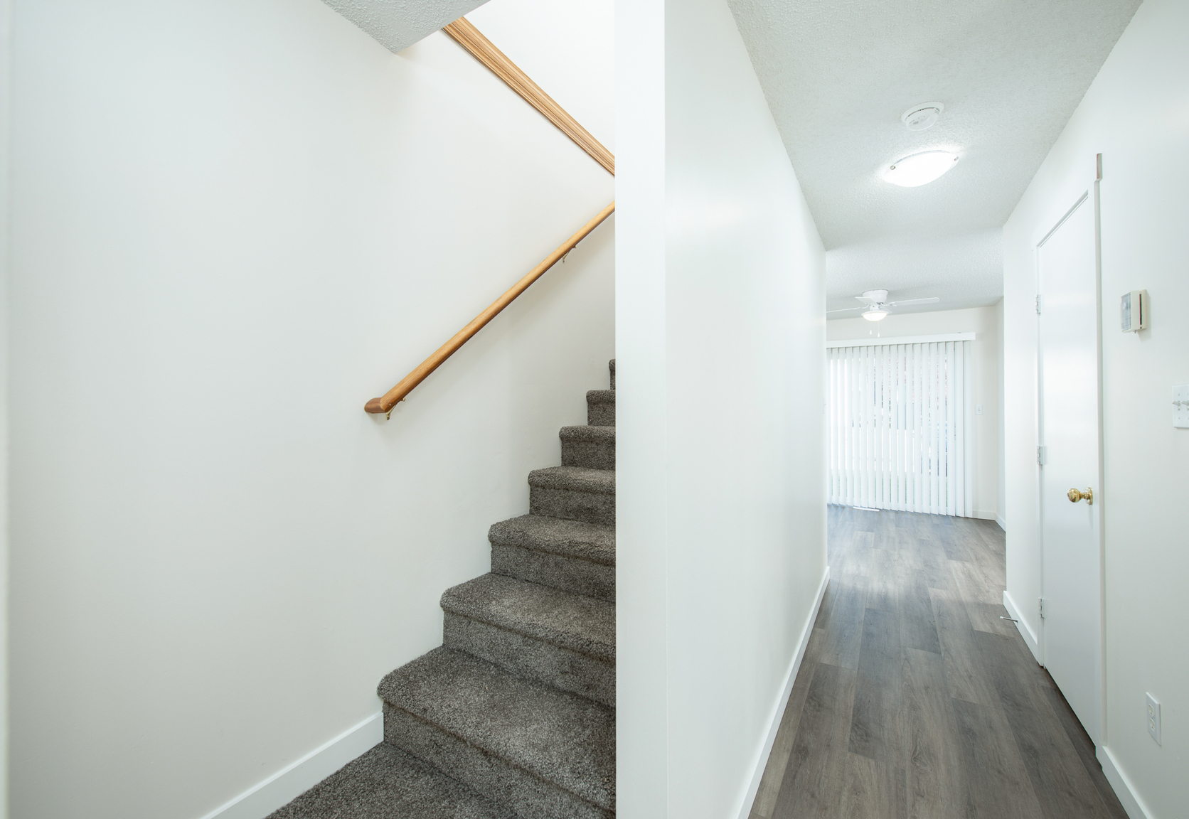 Gallery Photos