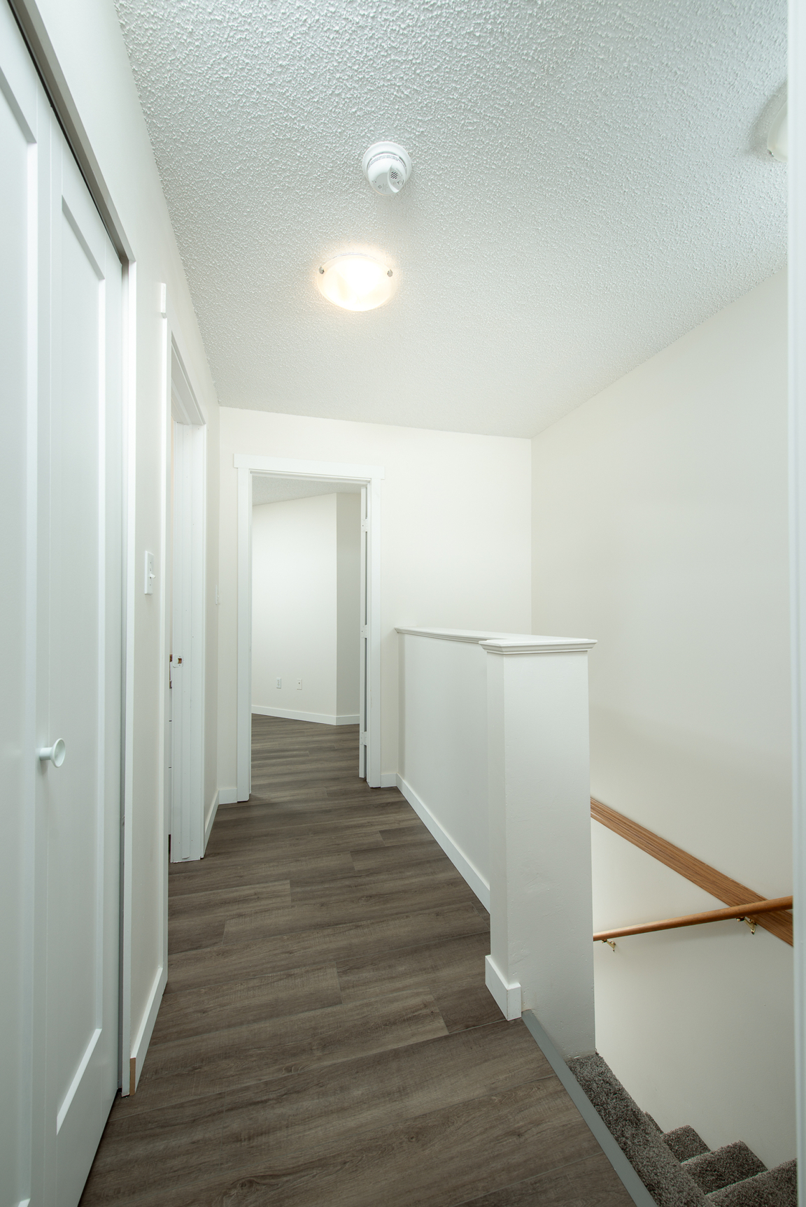 Gallery Photos