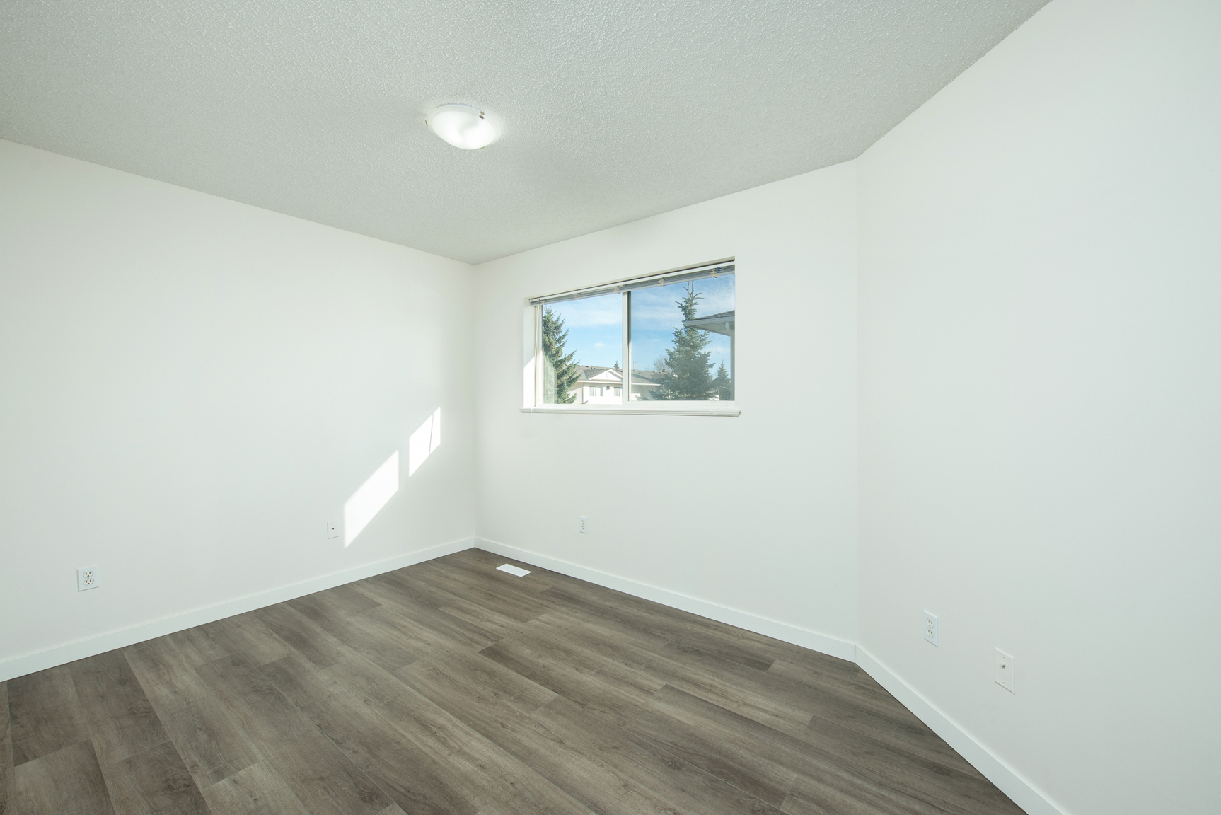 Gallery Photos