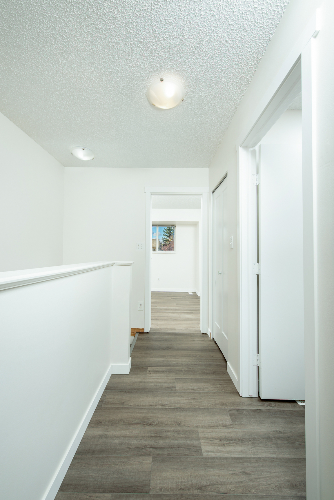 Gallery Photos