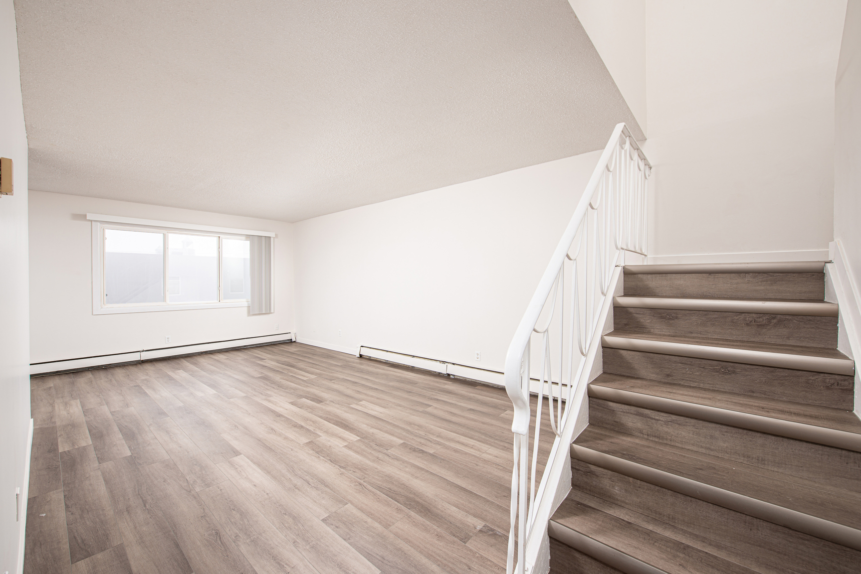 Gallery Photos