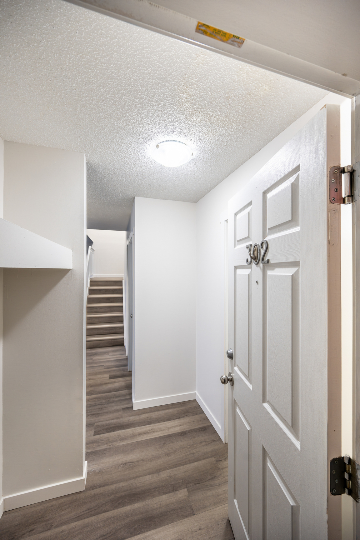 Gallery Photos