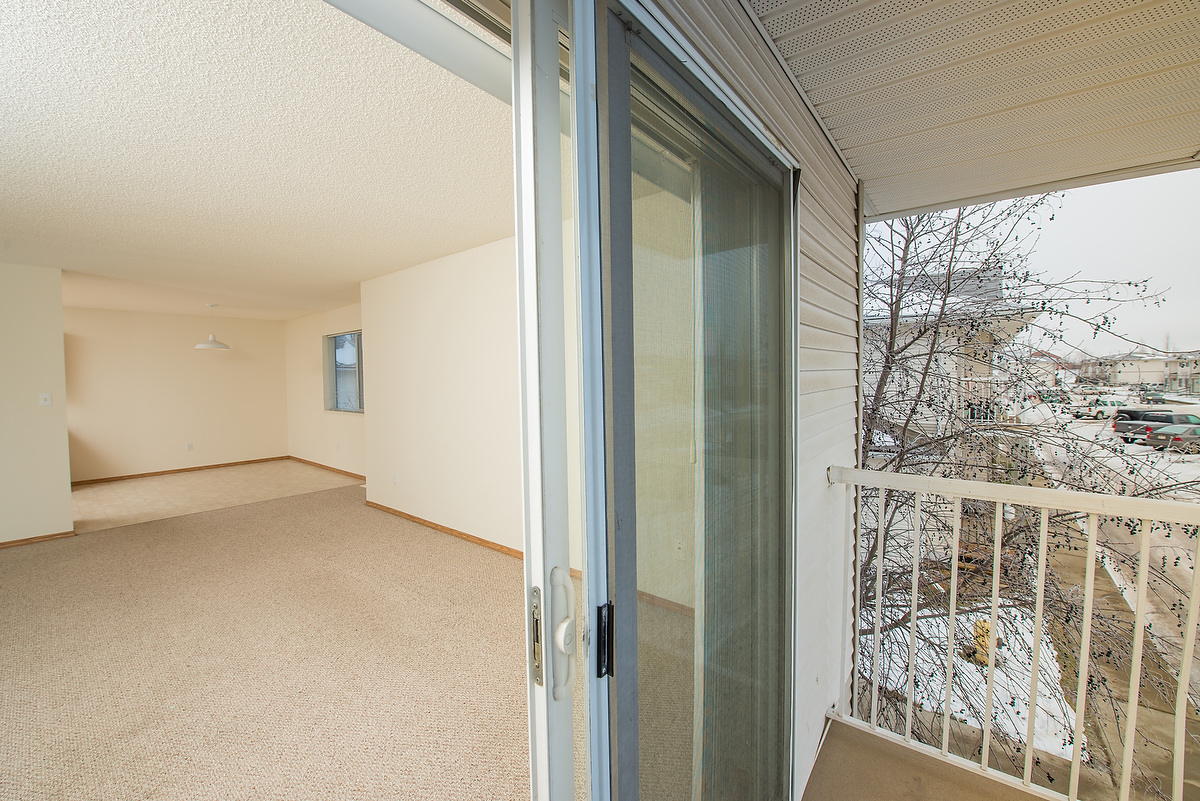 Gallery Photos