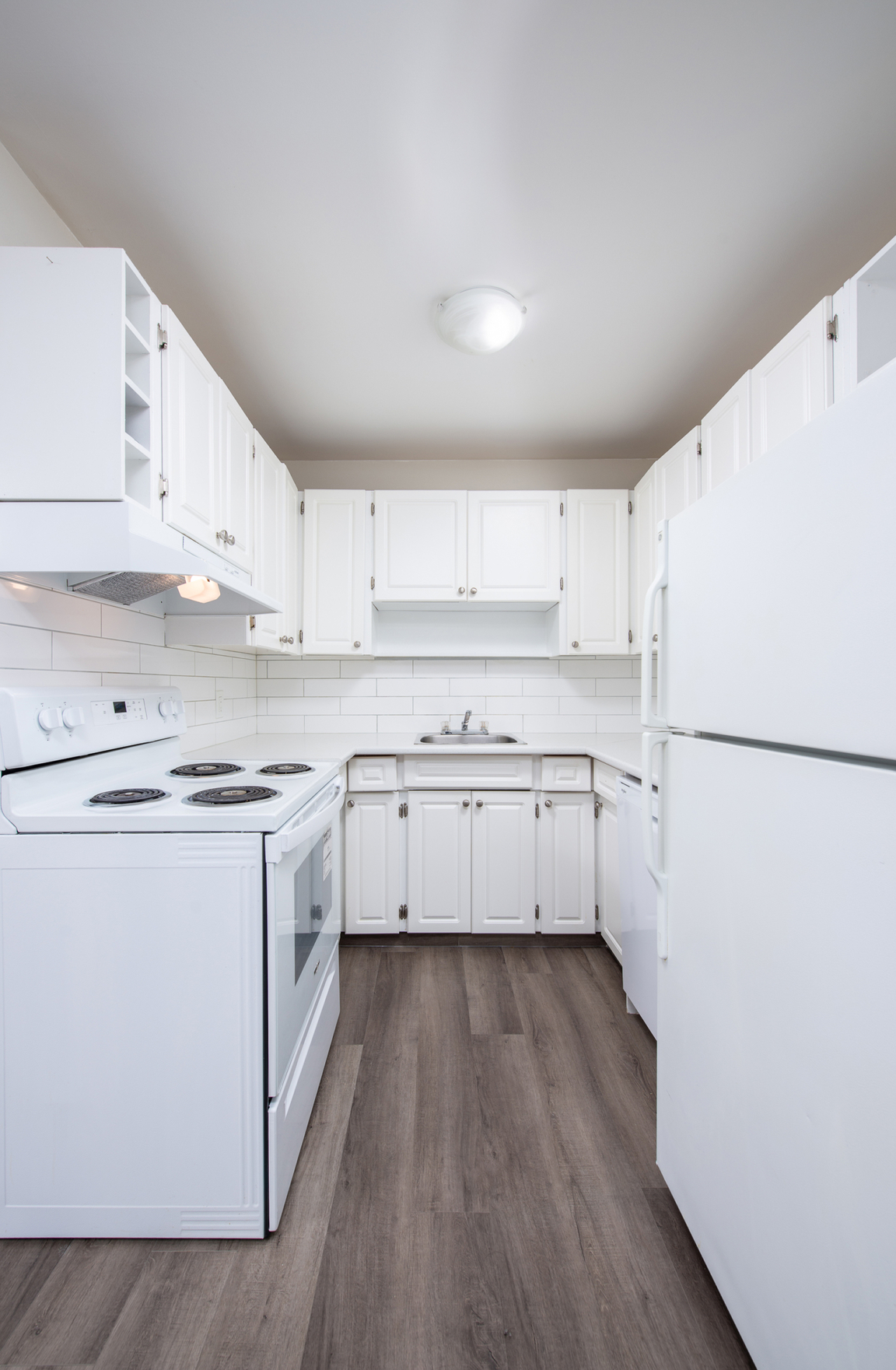 Gallery Photos