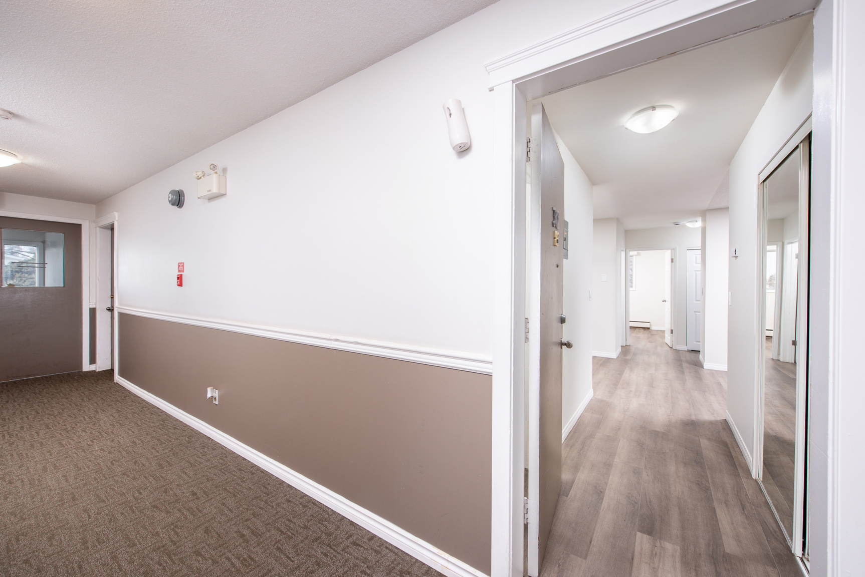 Gallery Photos