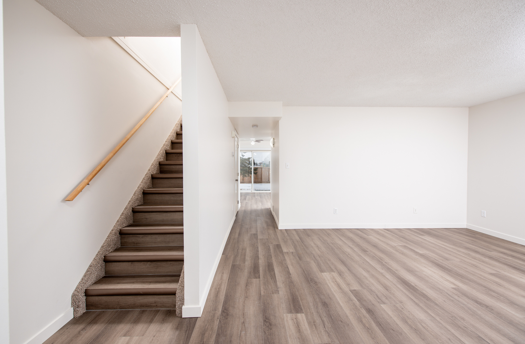 Gallery Photos