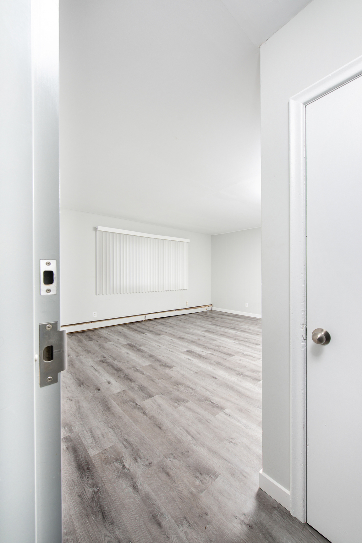 Gallery Photos