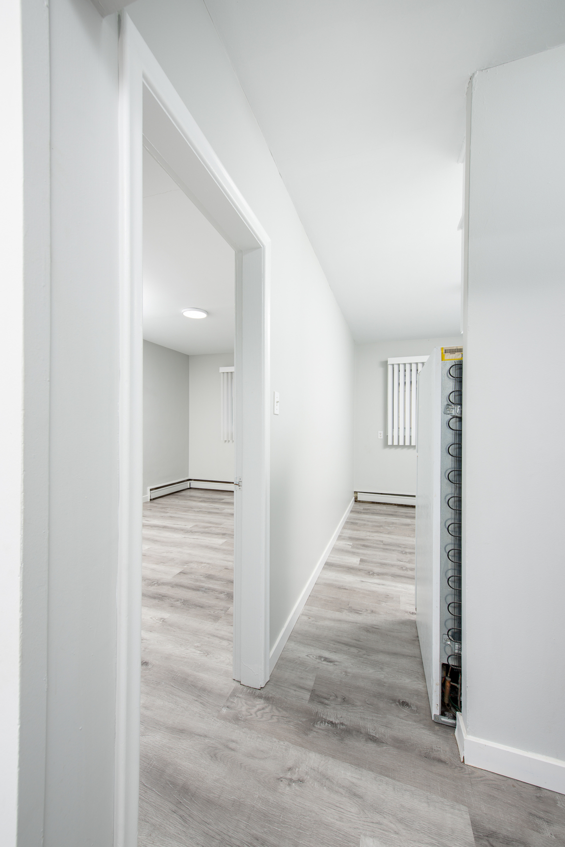 Gallery Photos