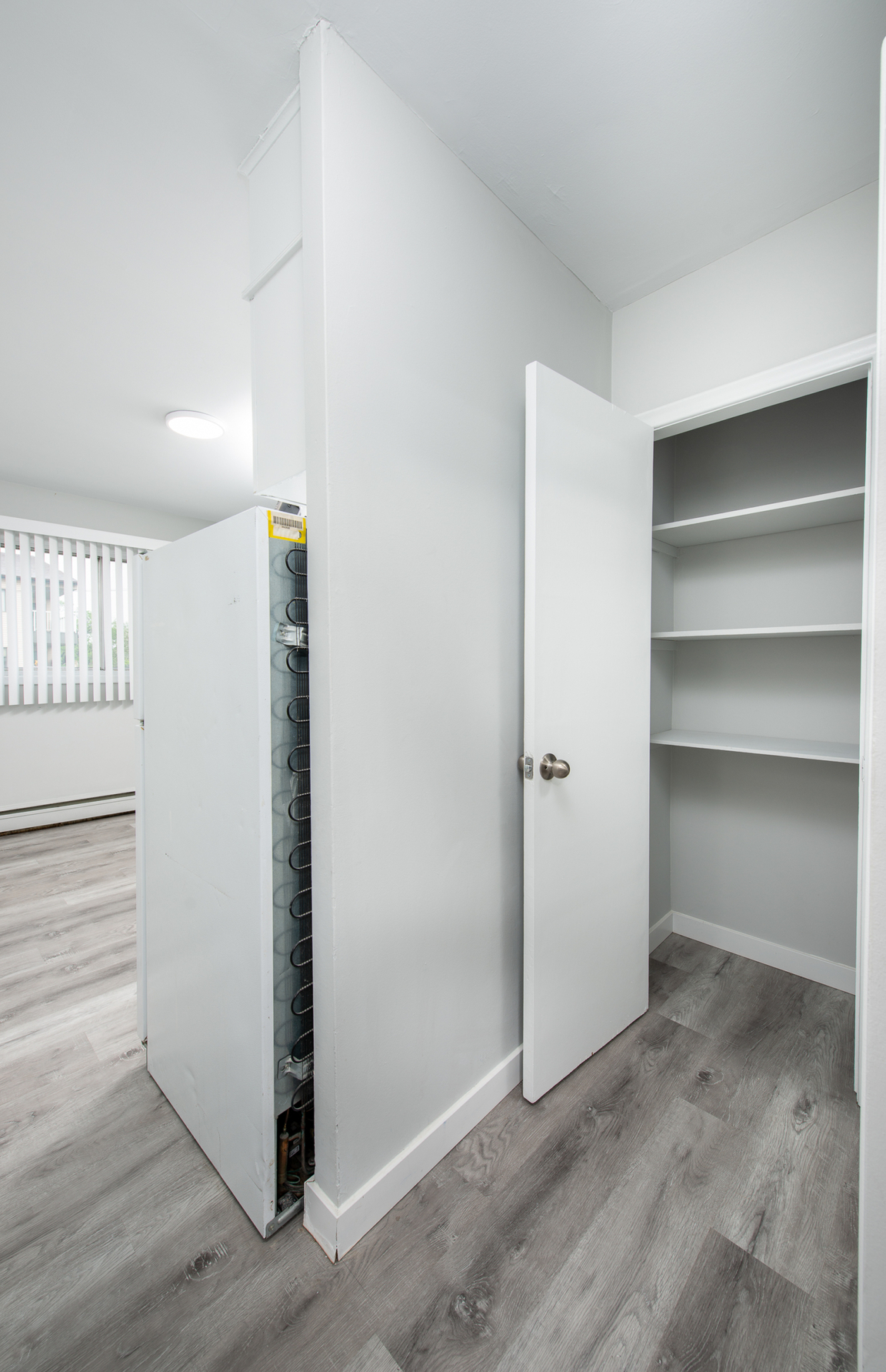 Gallery Photos
