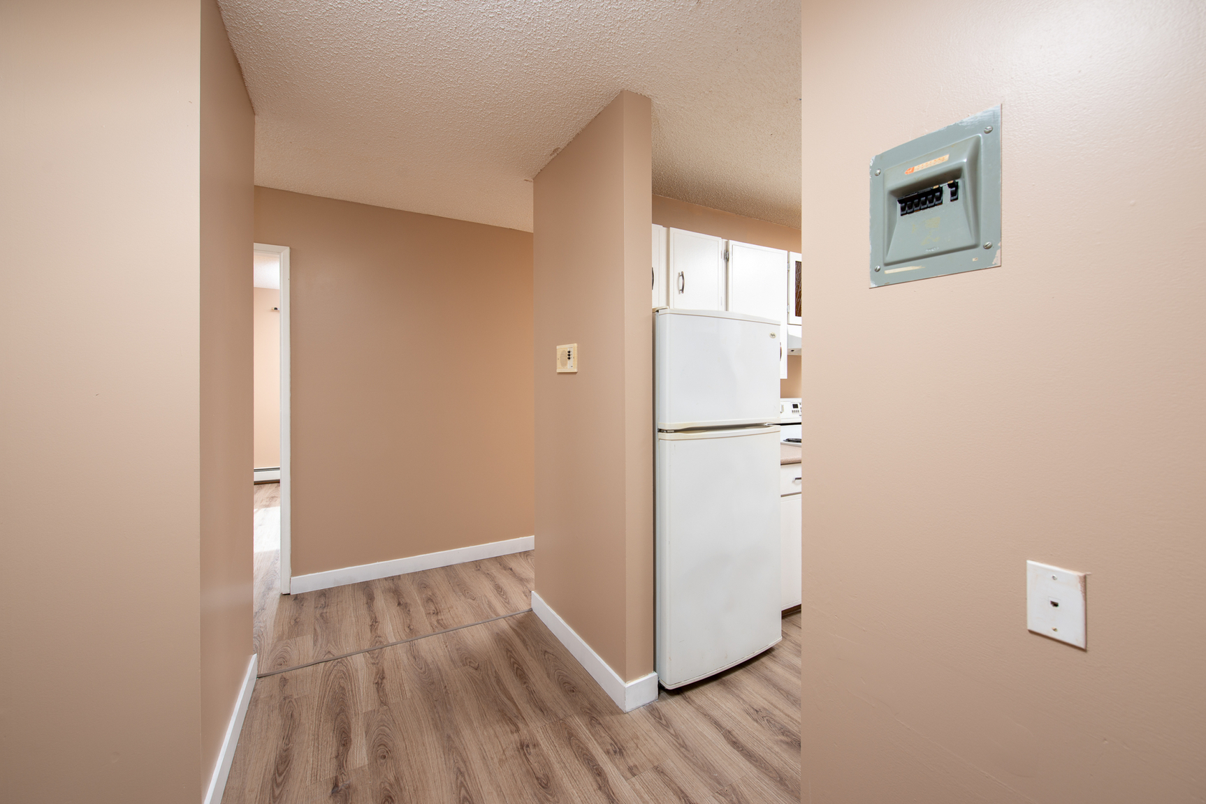 Gallery Photos