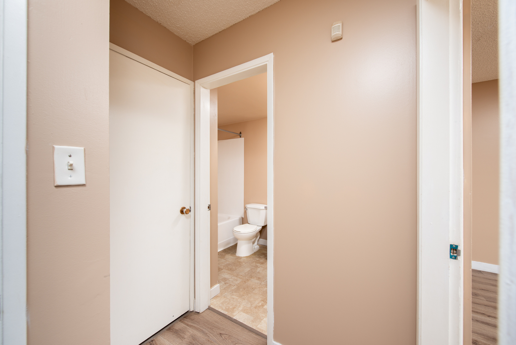 Gallery Photos