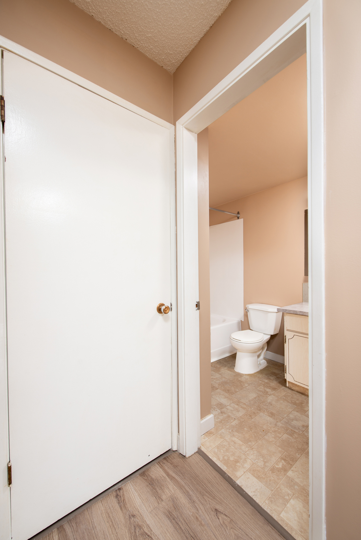 Gallery Photos
