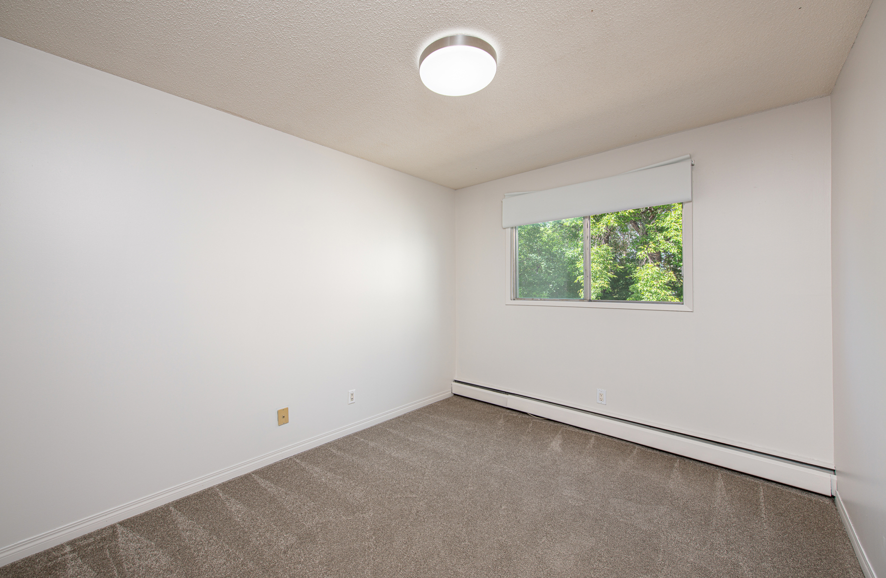 Gallery Photos