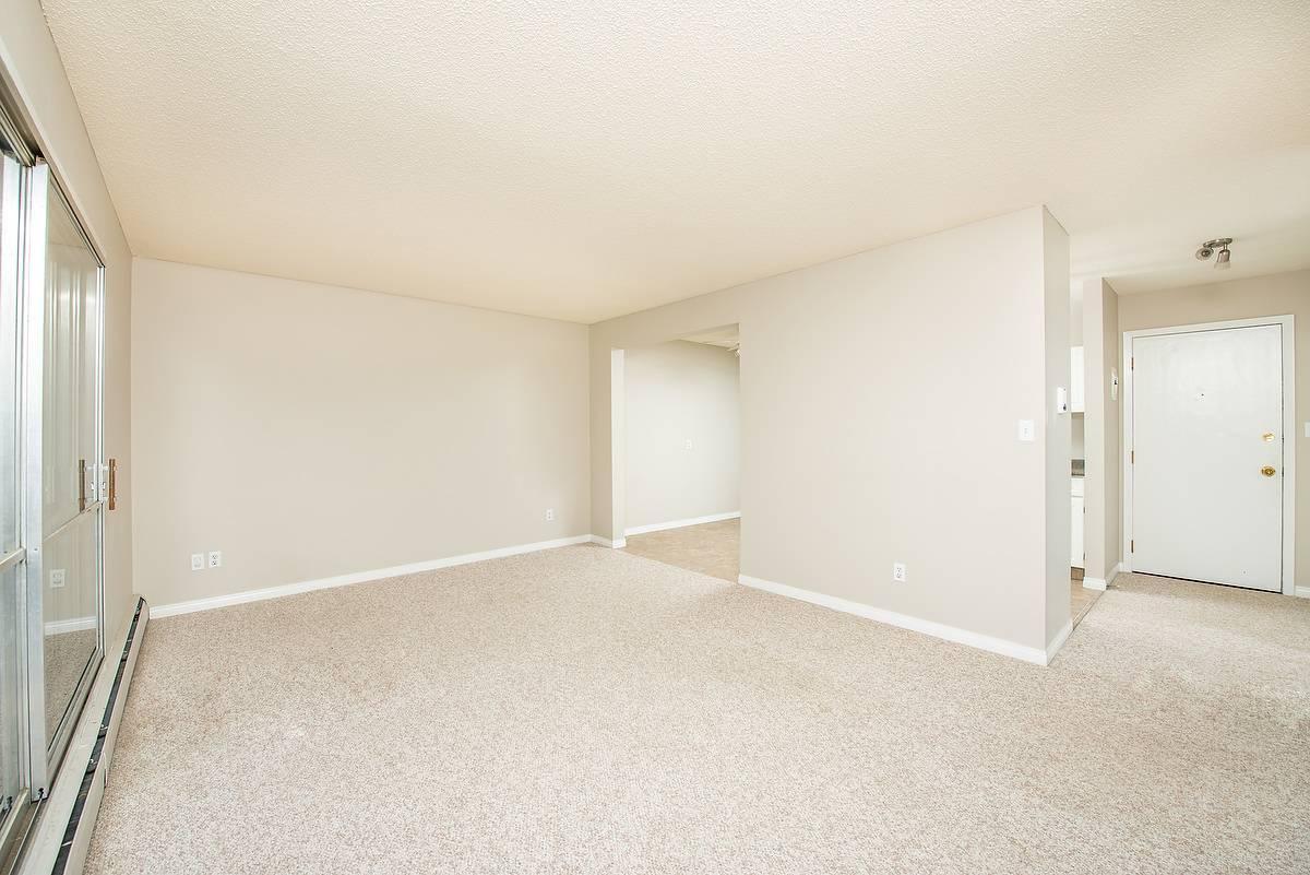 Gallery Photos