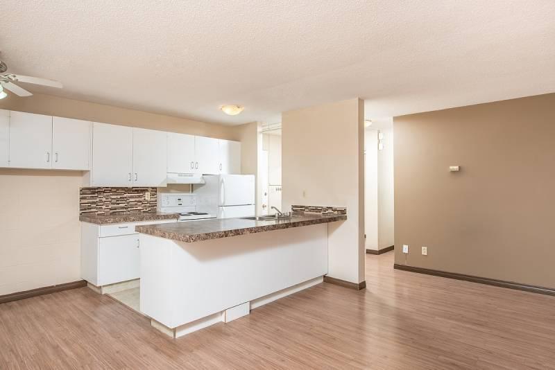 Gallery Photos