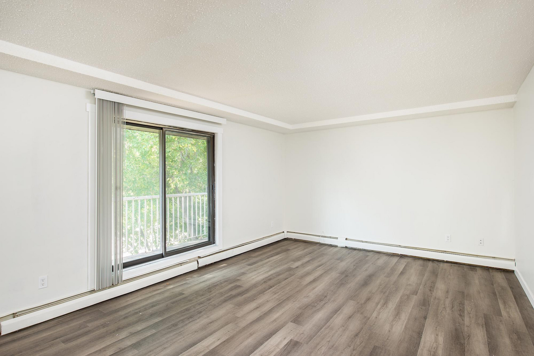 Gallery Photos