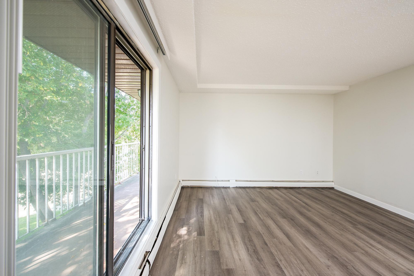 Gallery Photos