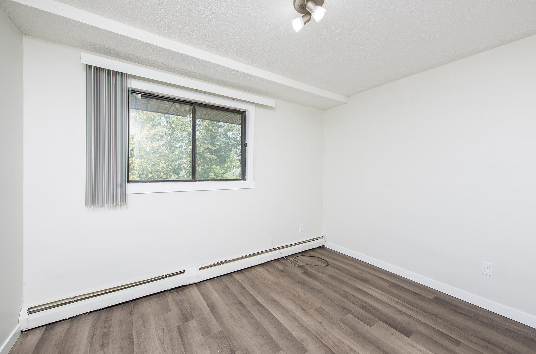 Gallery Photos
