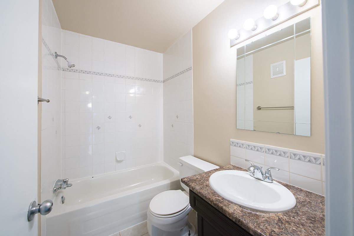 Gallery Photos