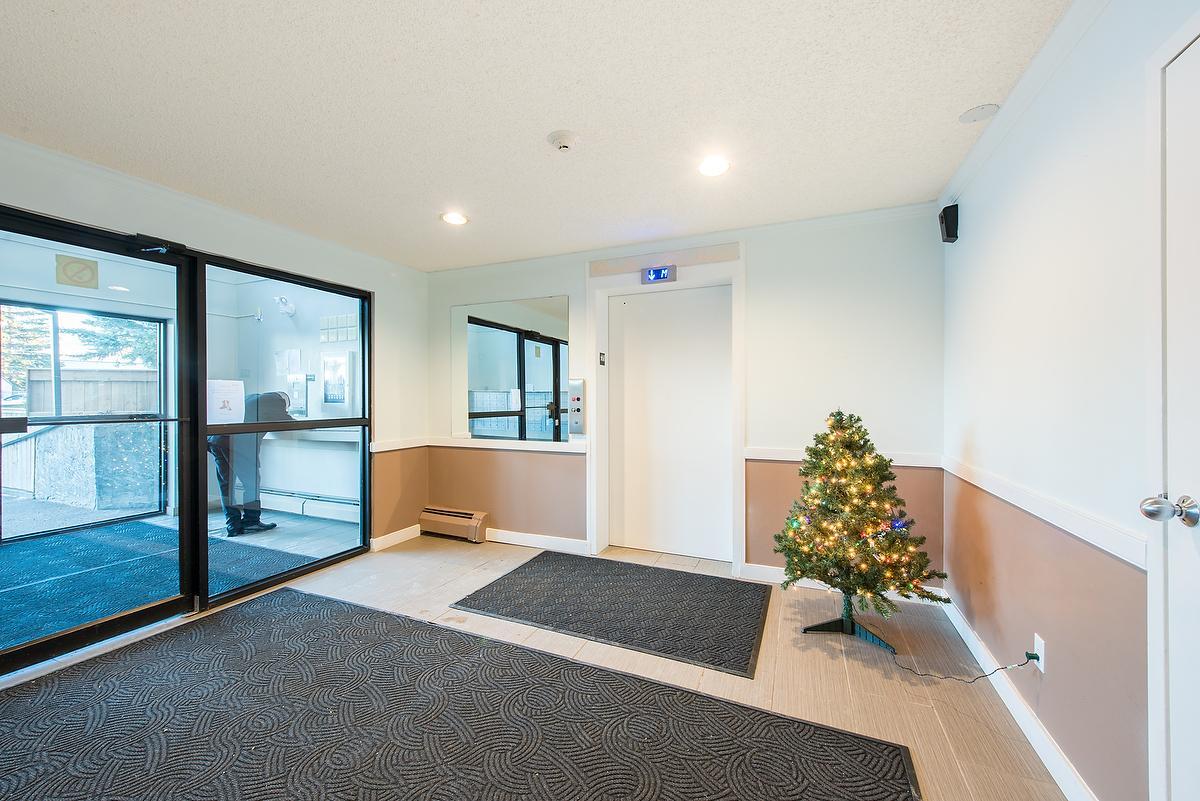 Gallery Photos