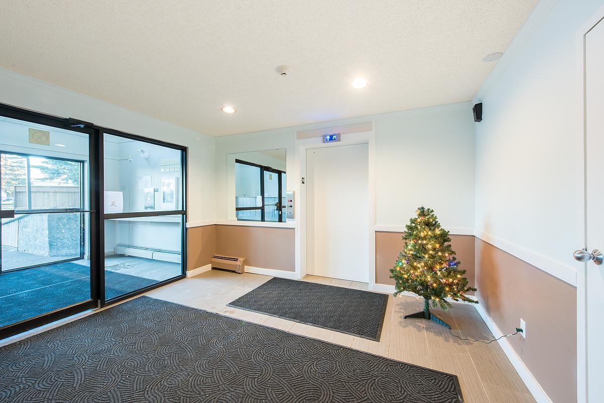 Gallery Photos