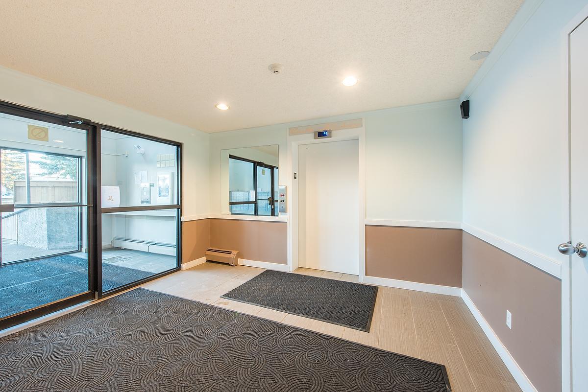 Gallery Photos