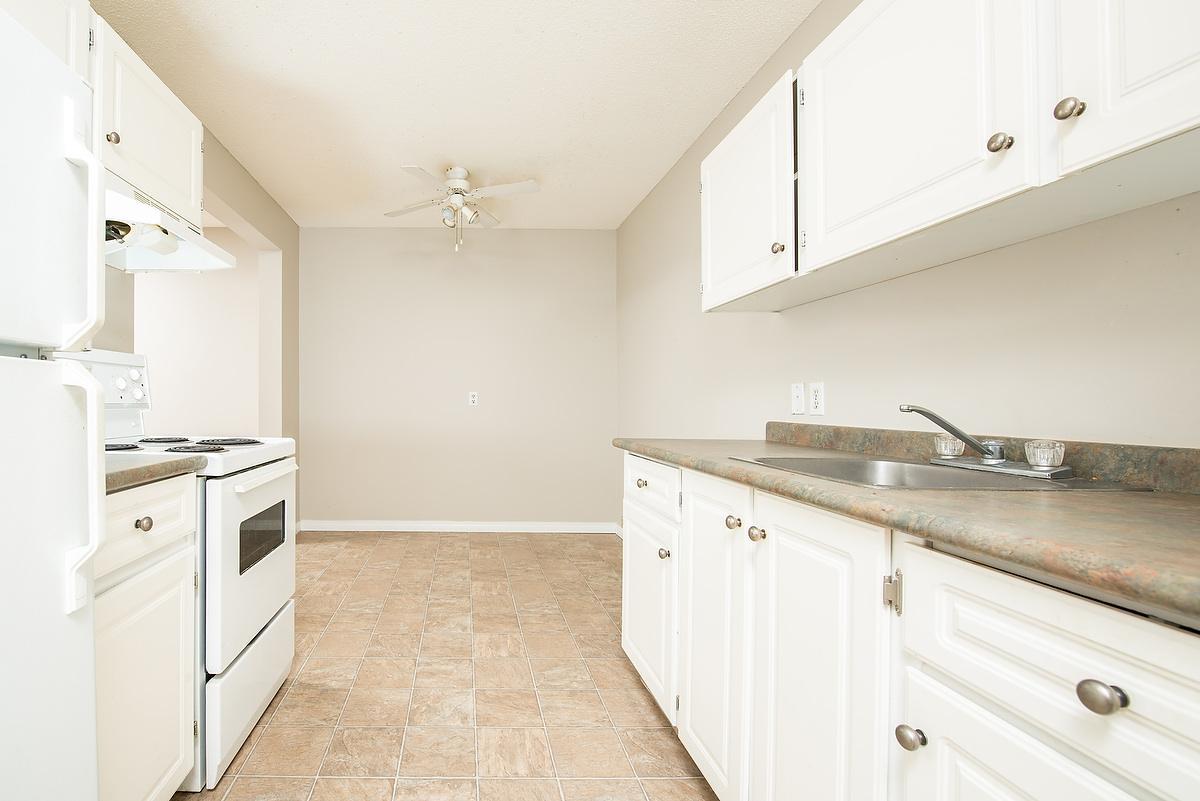 Gallery Photos
