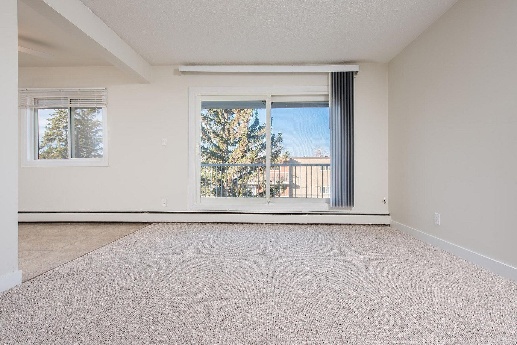 Gallery Photos