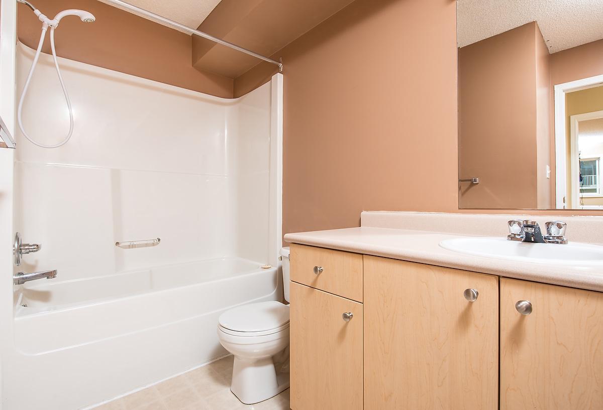 Gallery Photos