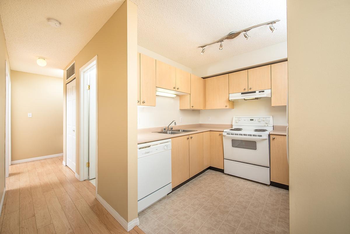 Gallery Photos