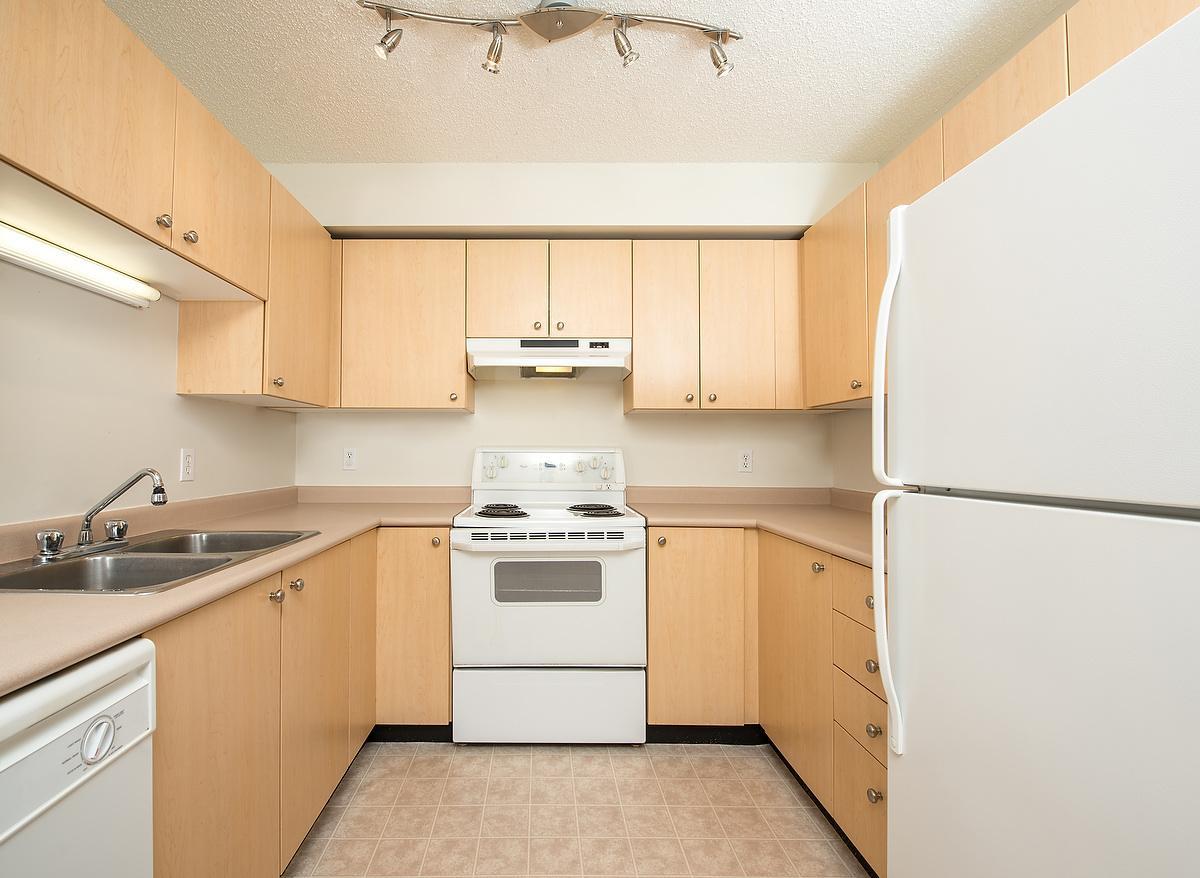 Gallery Photos
