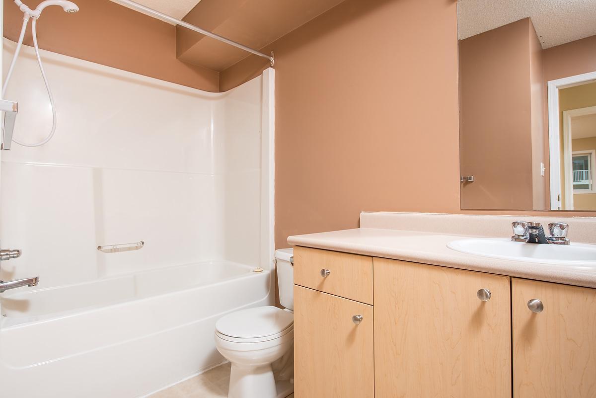 Gallery Photos