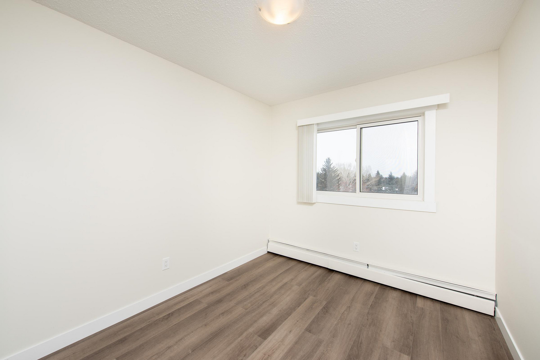 Gallery Photos