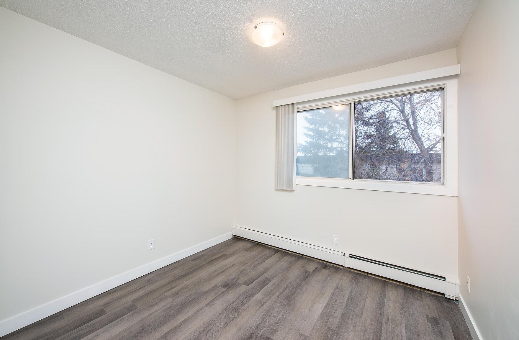Gallery Photos
