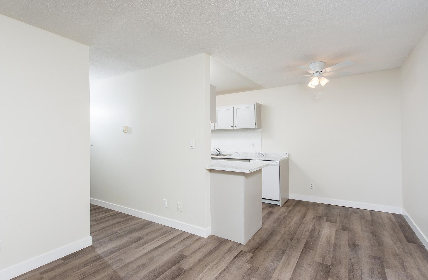 Gallery Photos