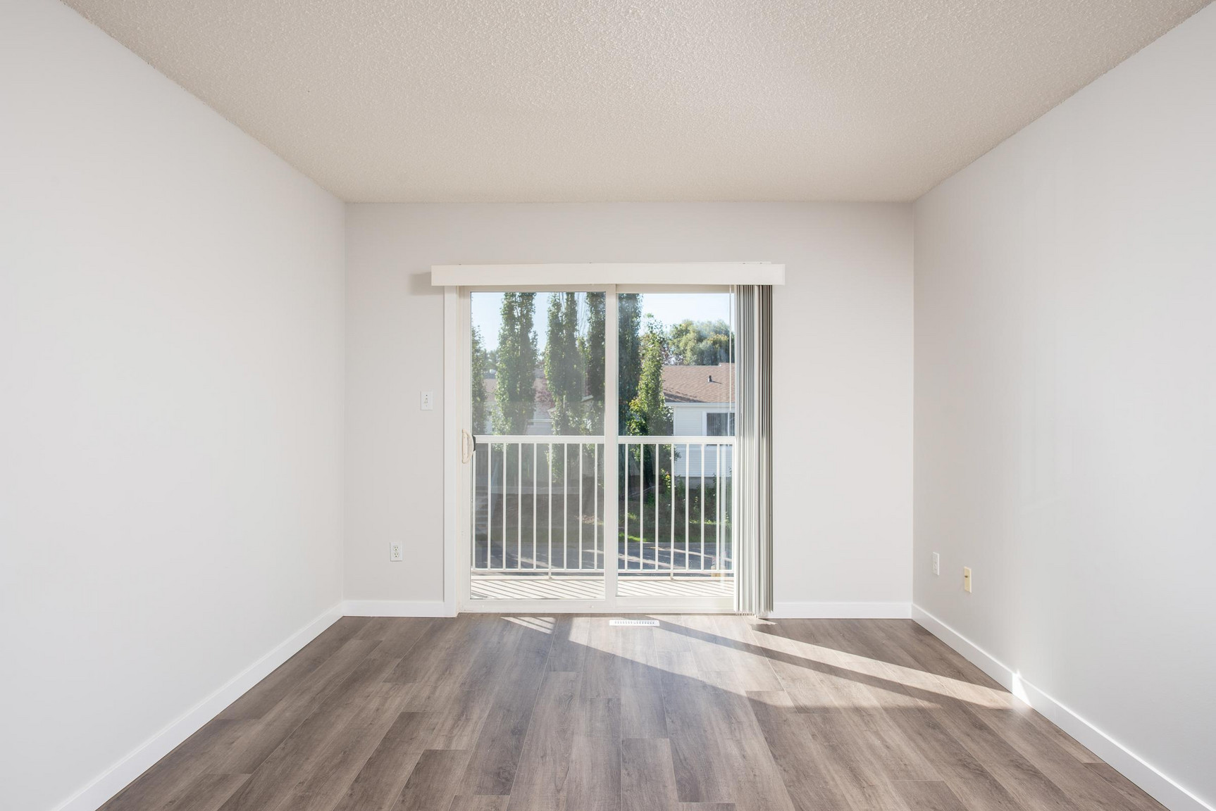 Gallery Photos