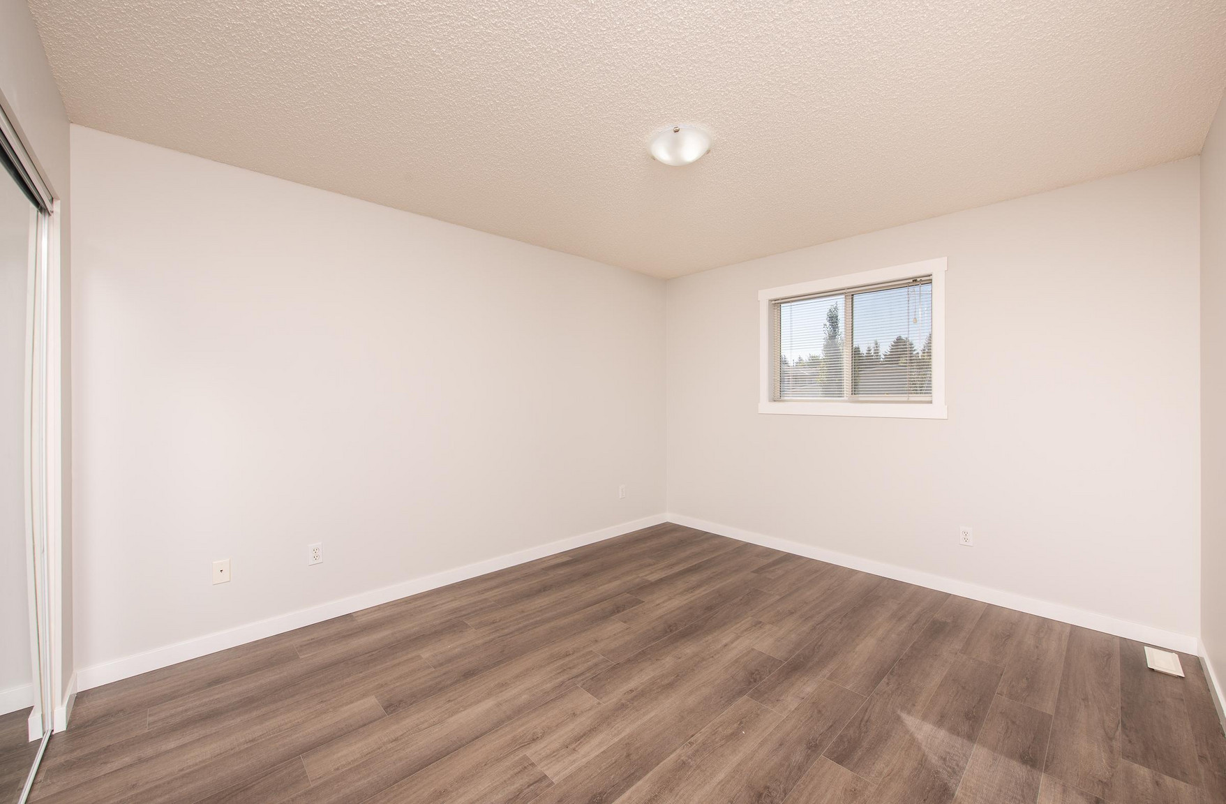 Gallery Photos