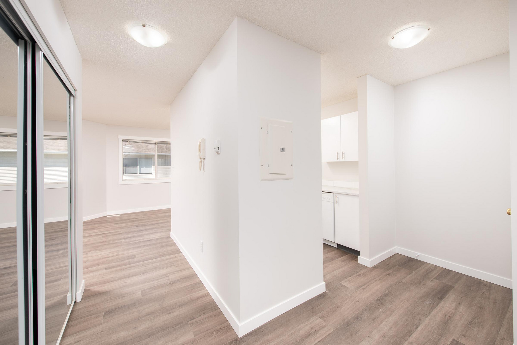 Gallery Photos