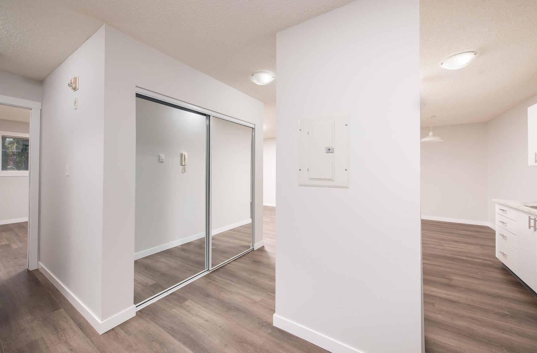 Gallery Photos