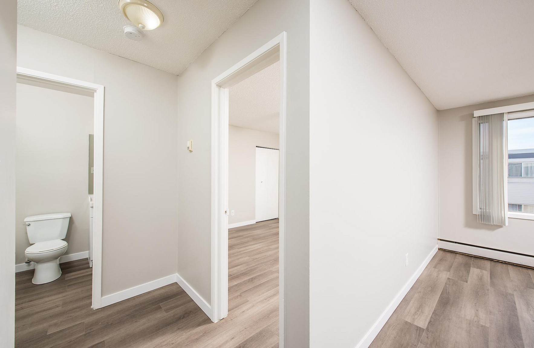 Gallery Photos